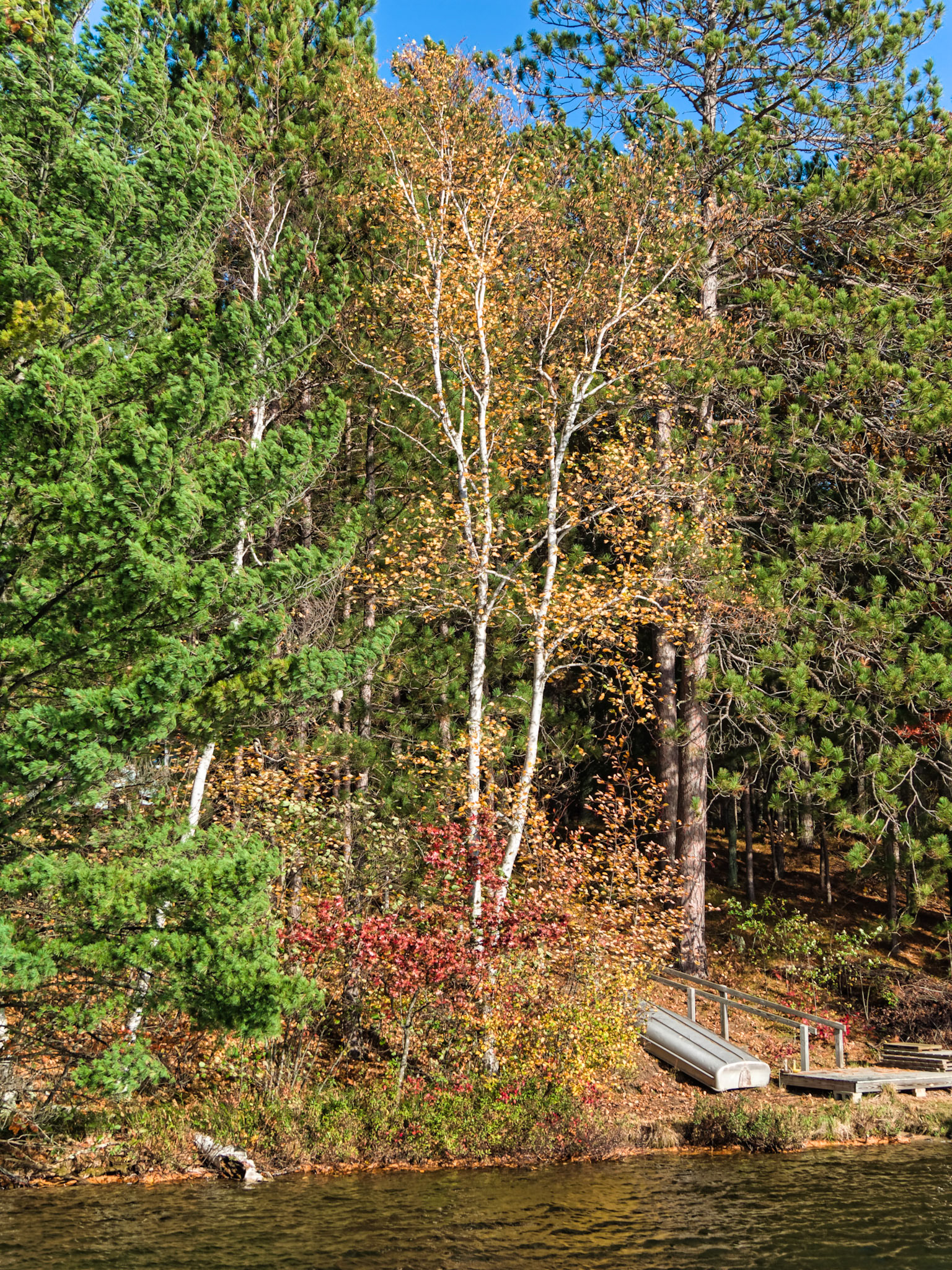 WI Fence 00073