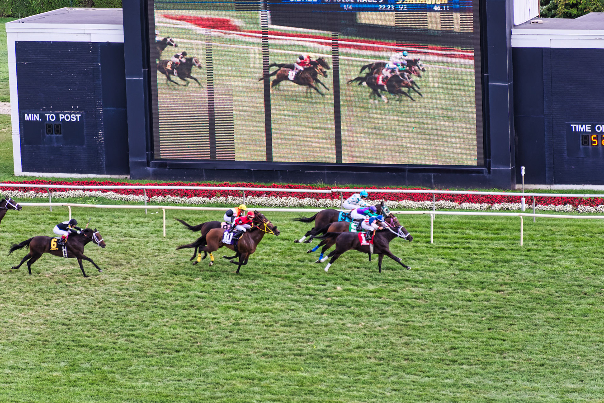 IL Arlington Park 00006