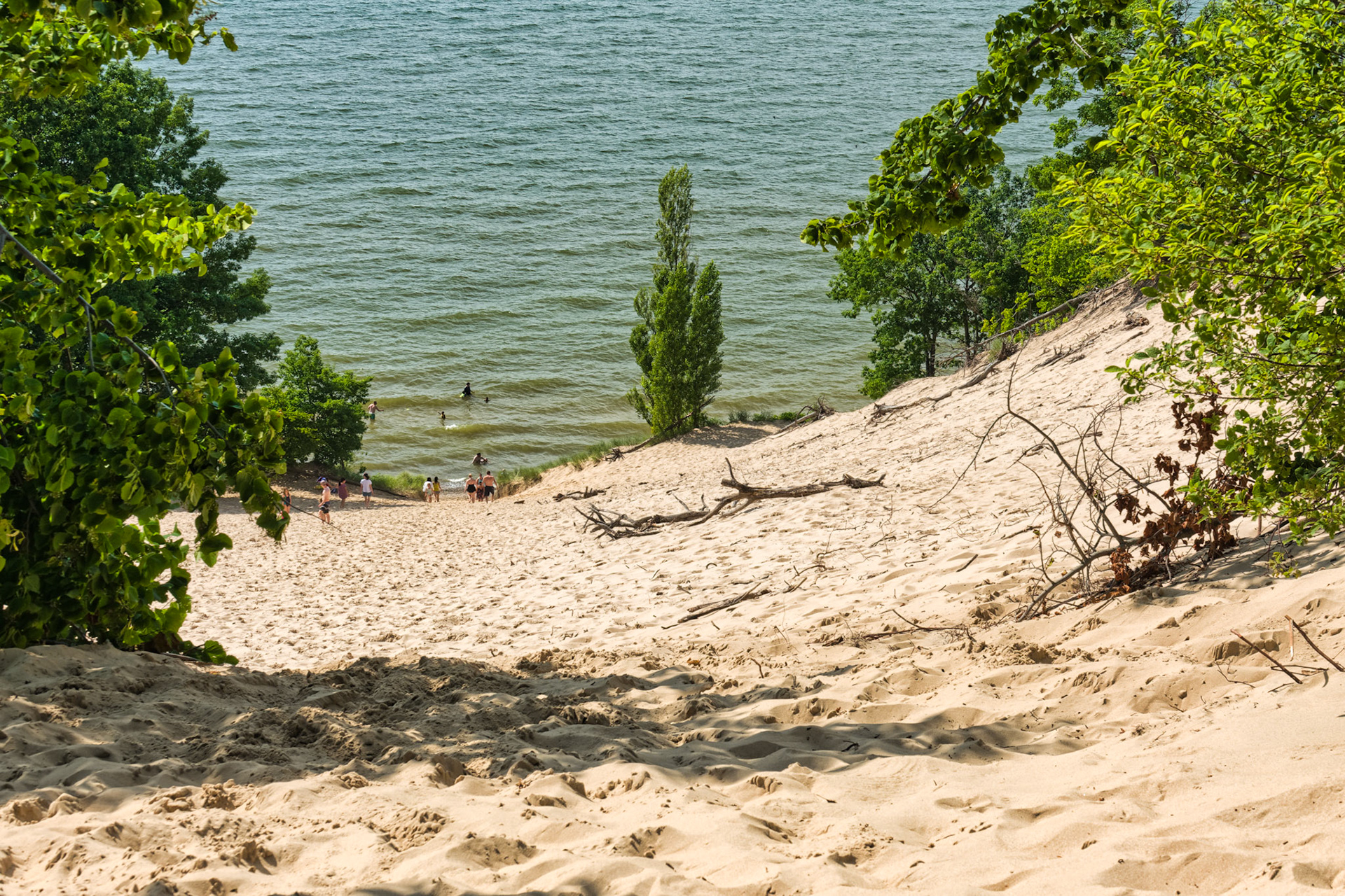 MI Dunes 00106