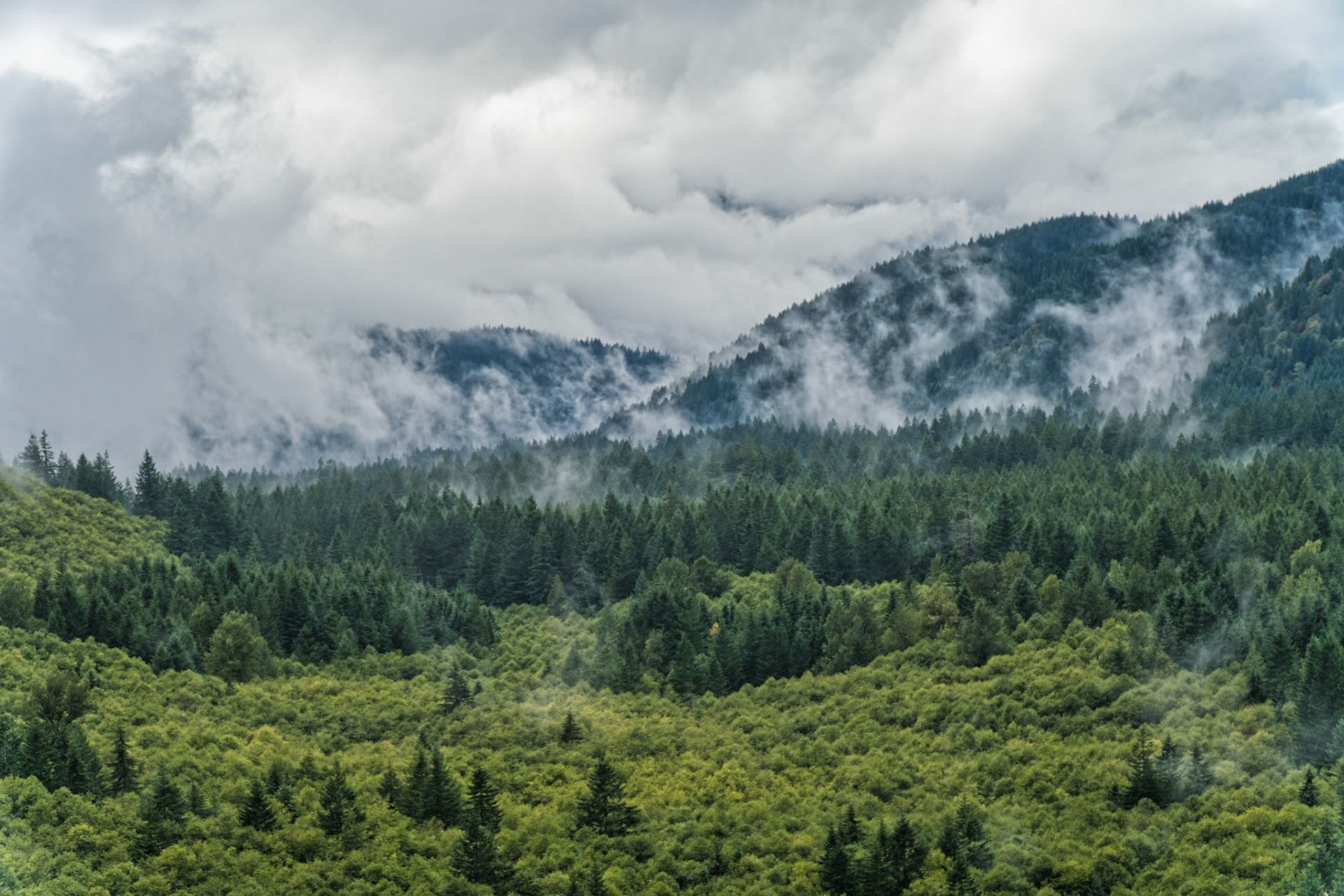 OR Mt Hood 00018