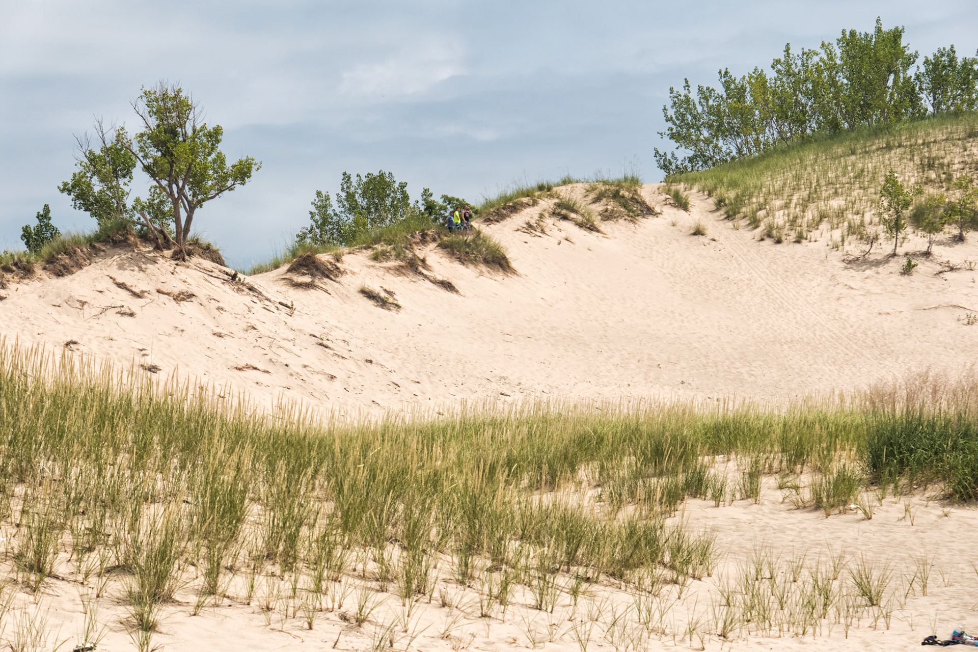 MI Dunes 00020