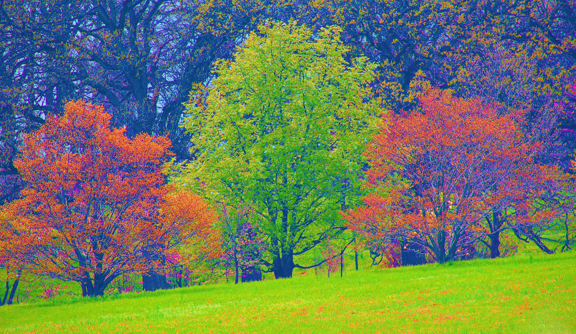 Paintings 00261