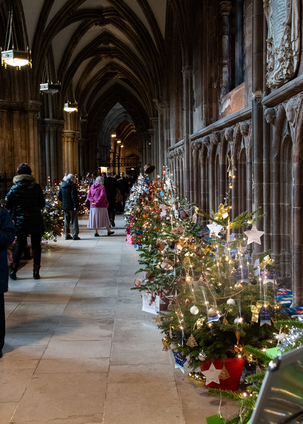 Paul Lowe Lichfield Cathedral Christmas 2018