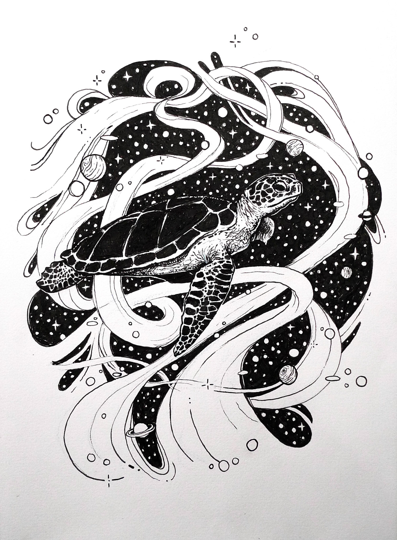 "Sea Turtle"