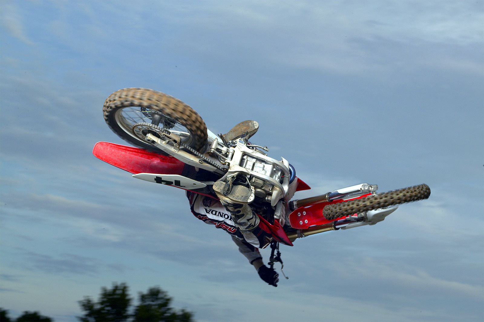 The client supplied photo