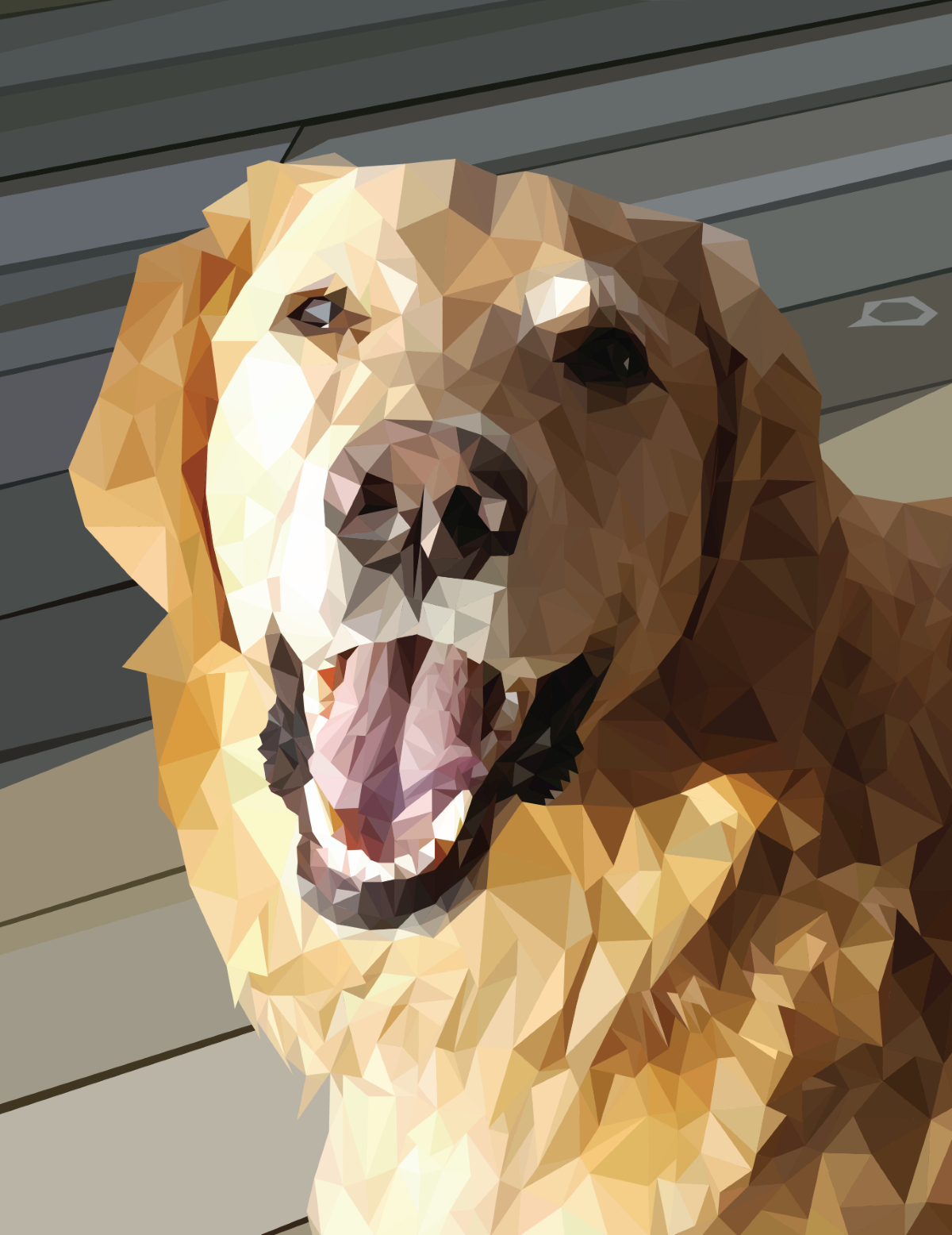 Digital, 2017