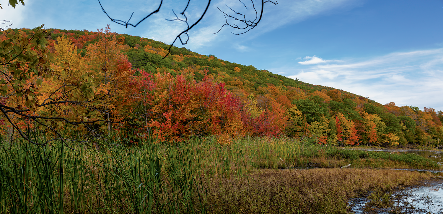 Yvon Leclerc MontSaintHilaire (Réserve Naturelle GAULT)