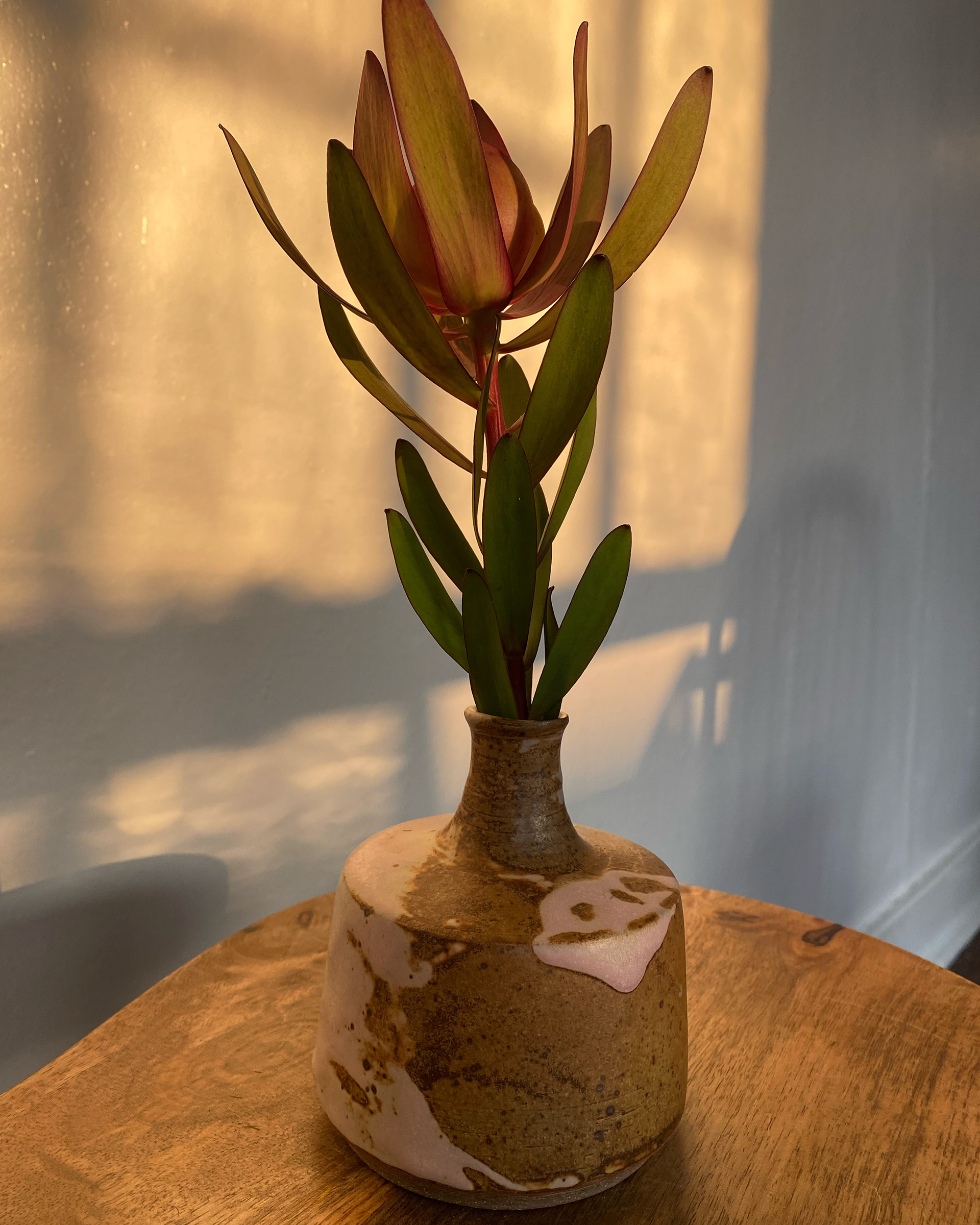 Bottle Glazed in Spodumene