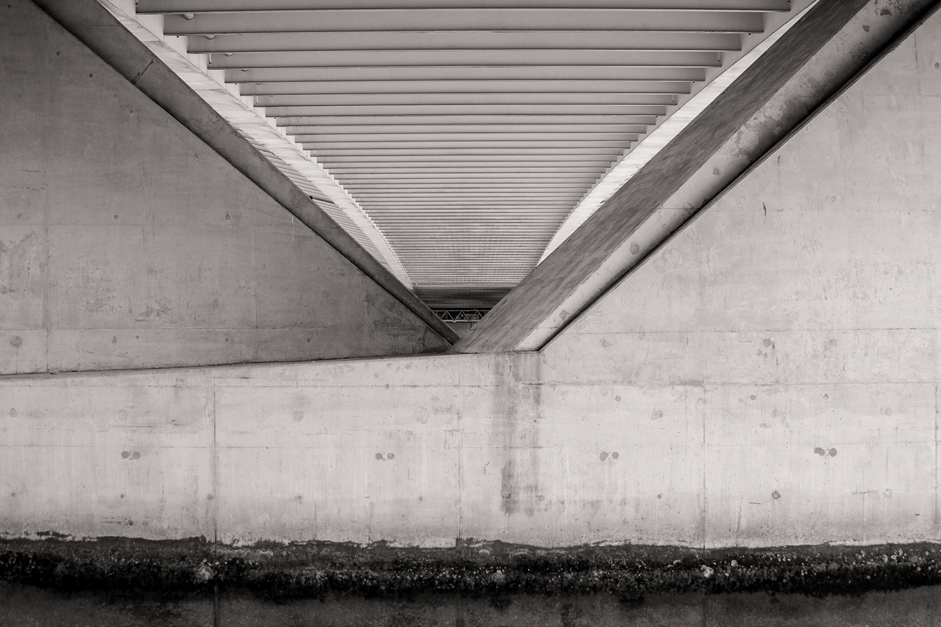 Underneath Erasmusbrug