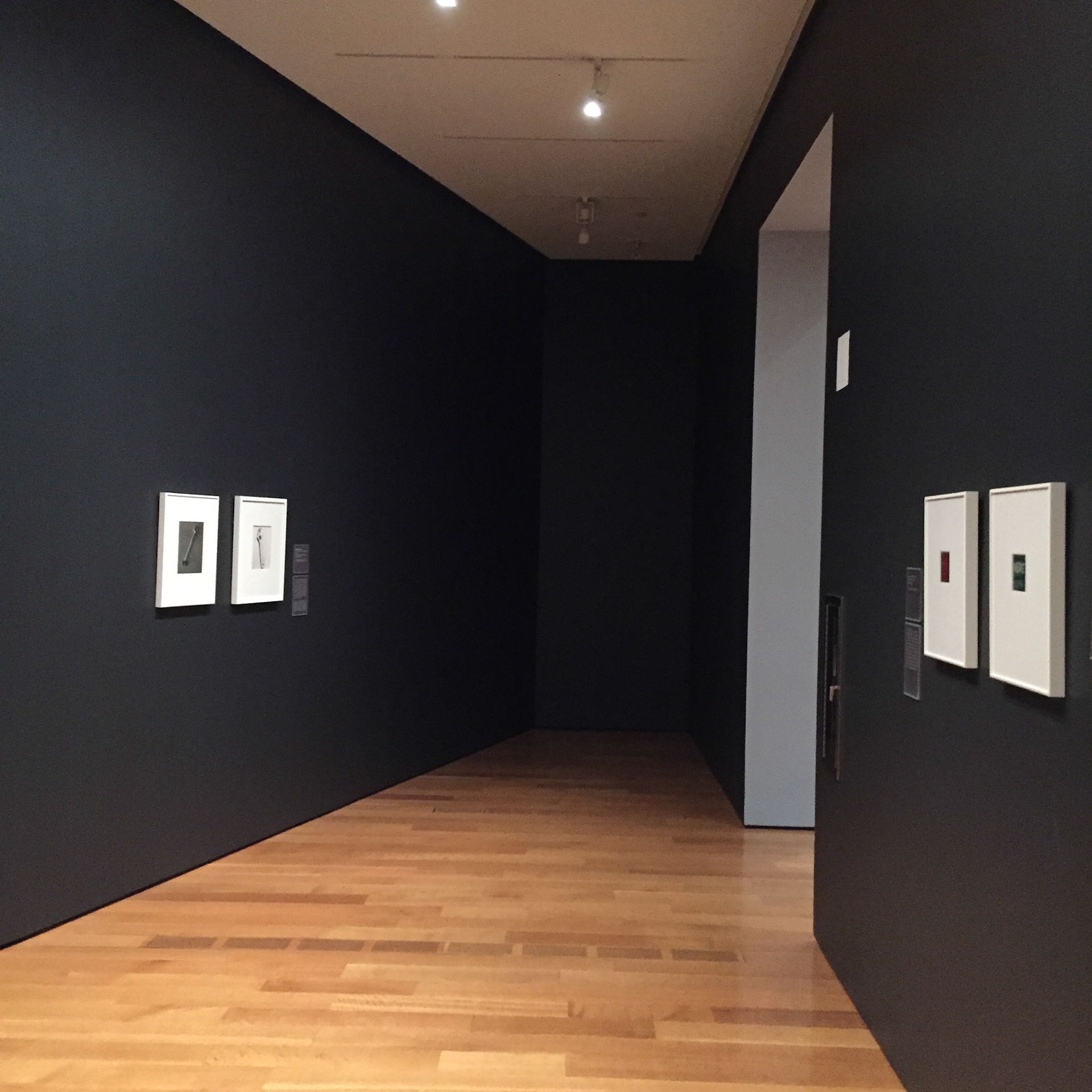 Walker Evans-1 High Museum Atlanta GA