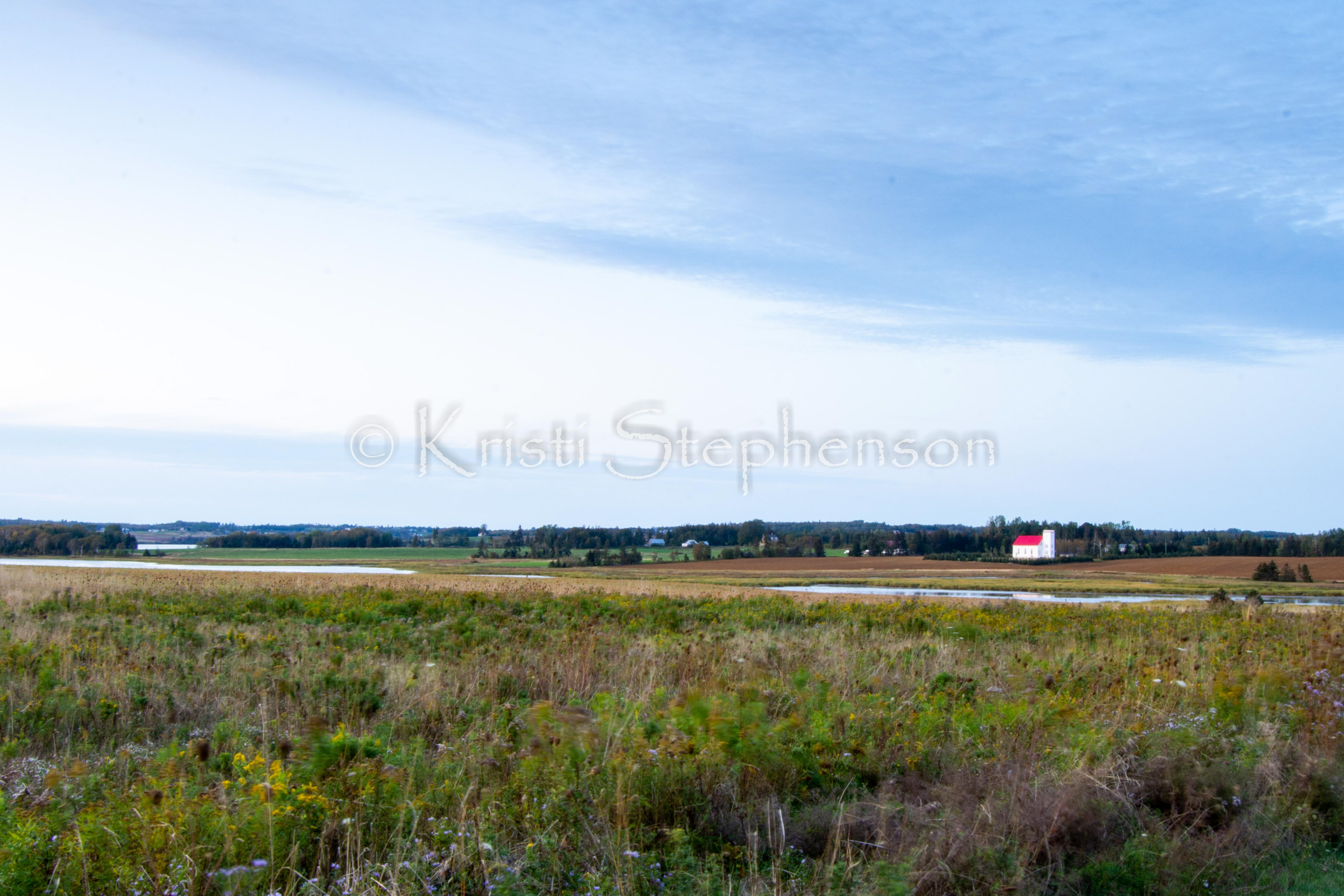 Iconic Red-roofed Barn