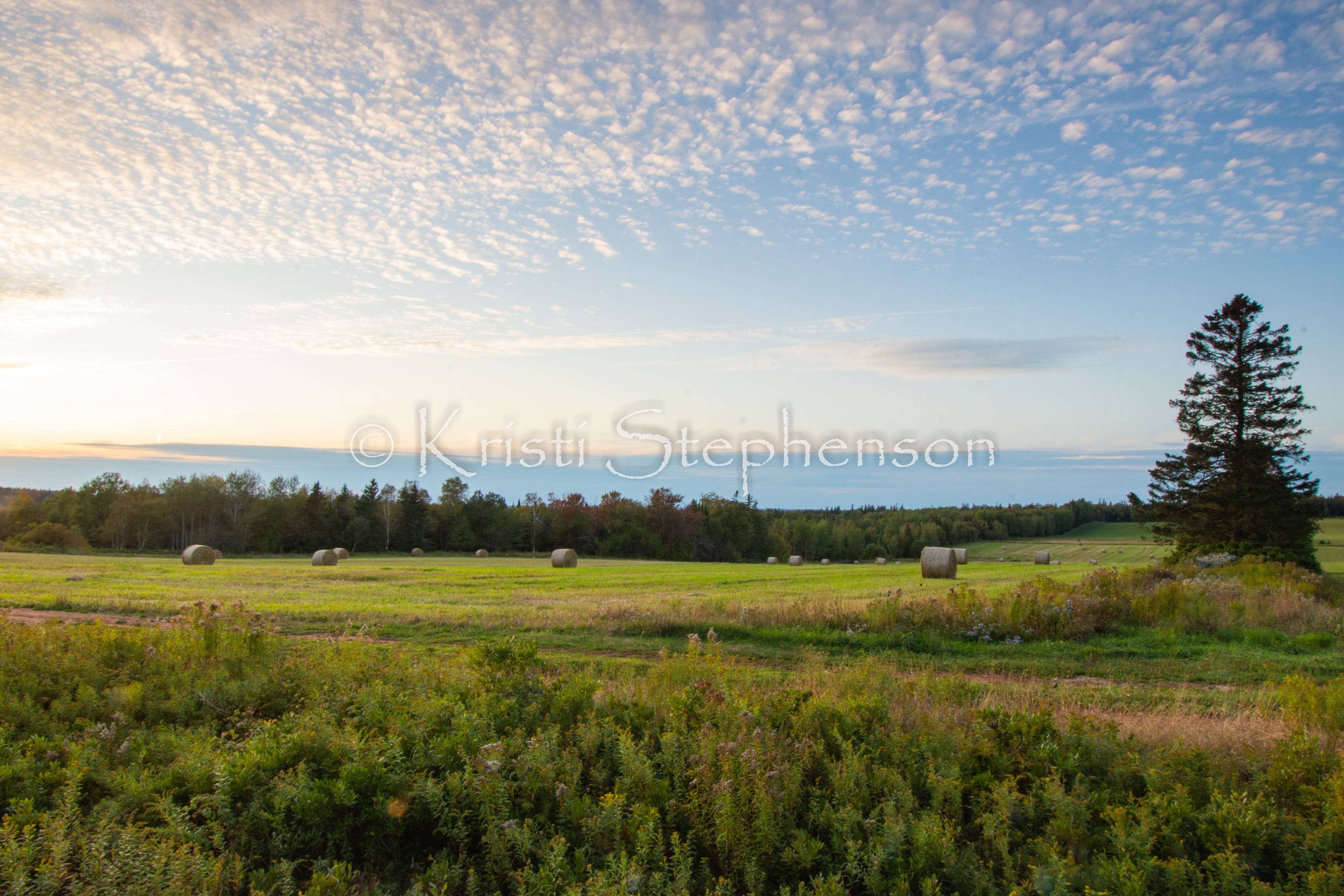 Sun Setting on Hay Harvest