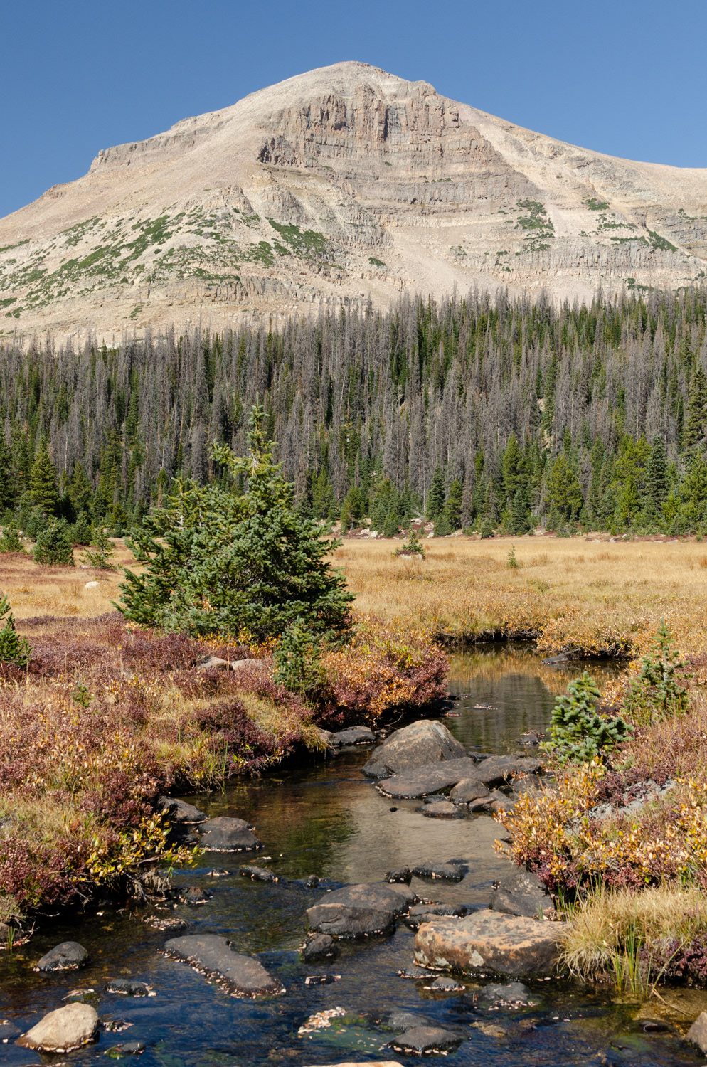 Uinta Mts., UT