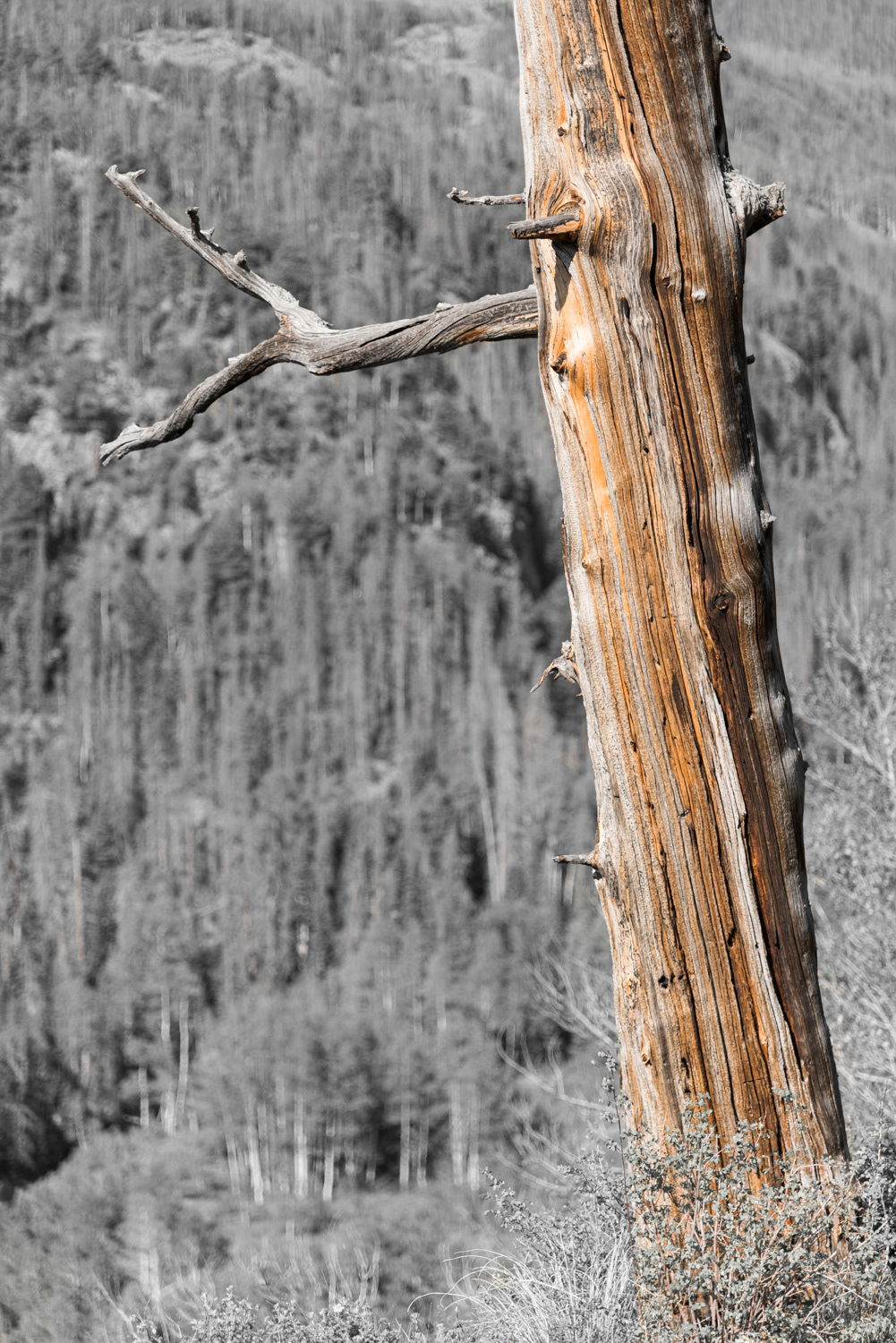 San Juan Mts., CO