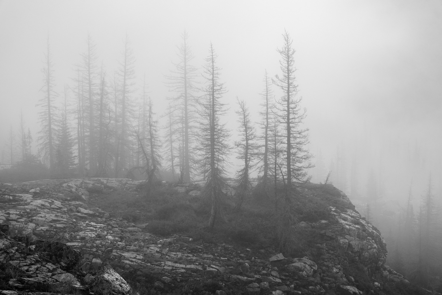 Amongst The Clouds
