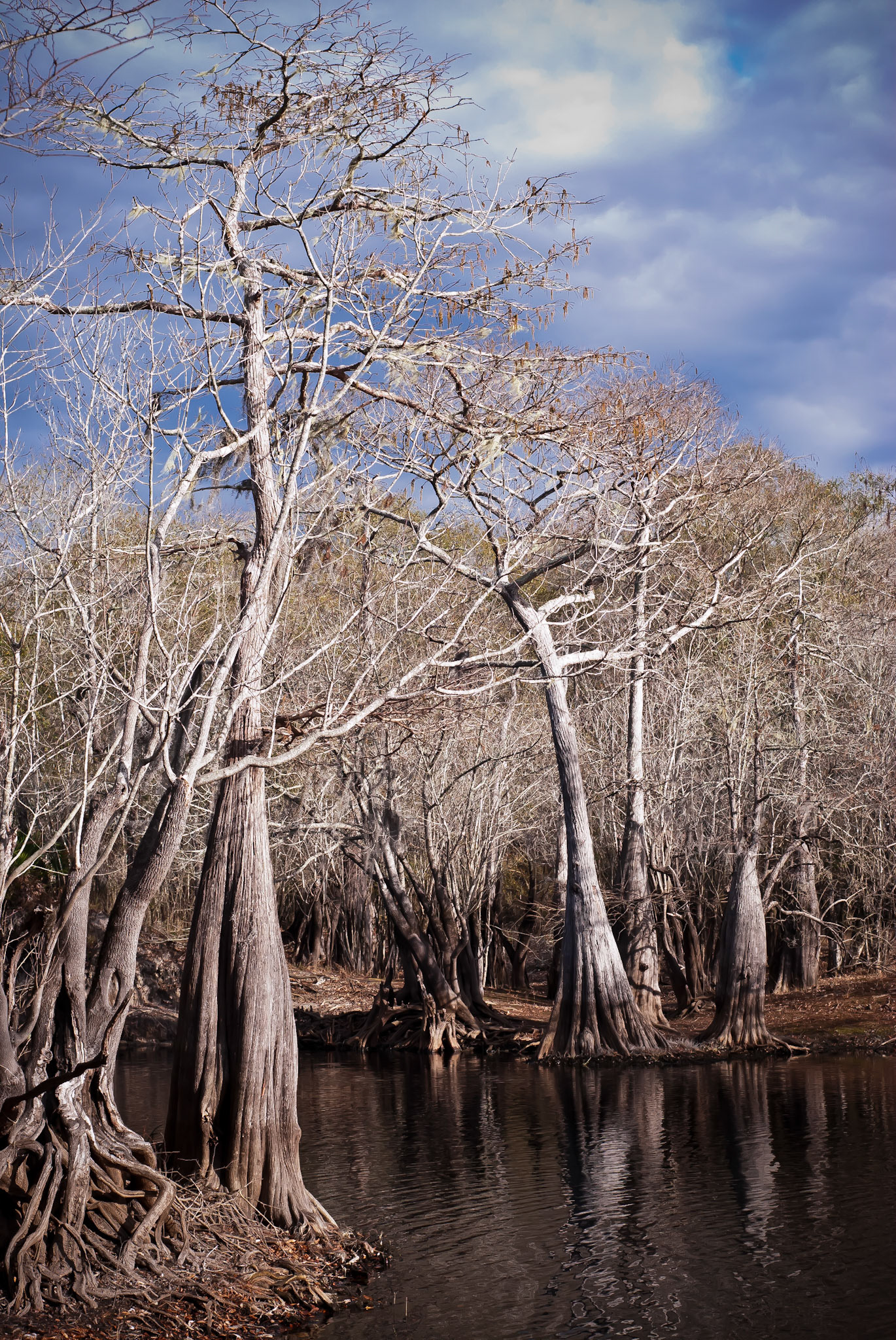 Old Souls at Satilla River