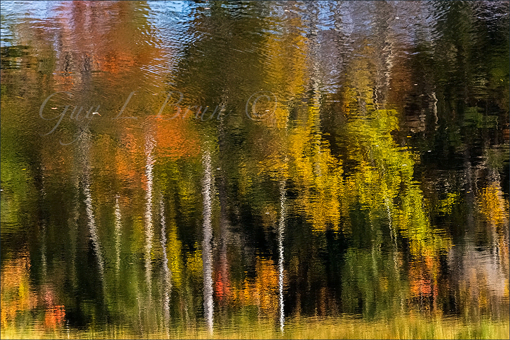 Abstract of Autumn Reflections/ Abstrait de réflexions d'automne. New Brunswick, Canada. (D170983). © Guy L Brun