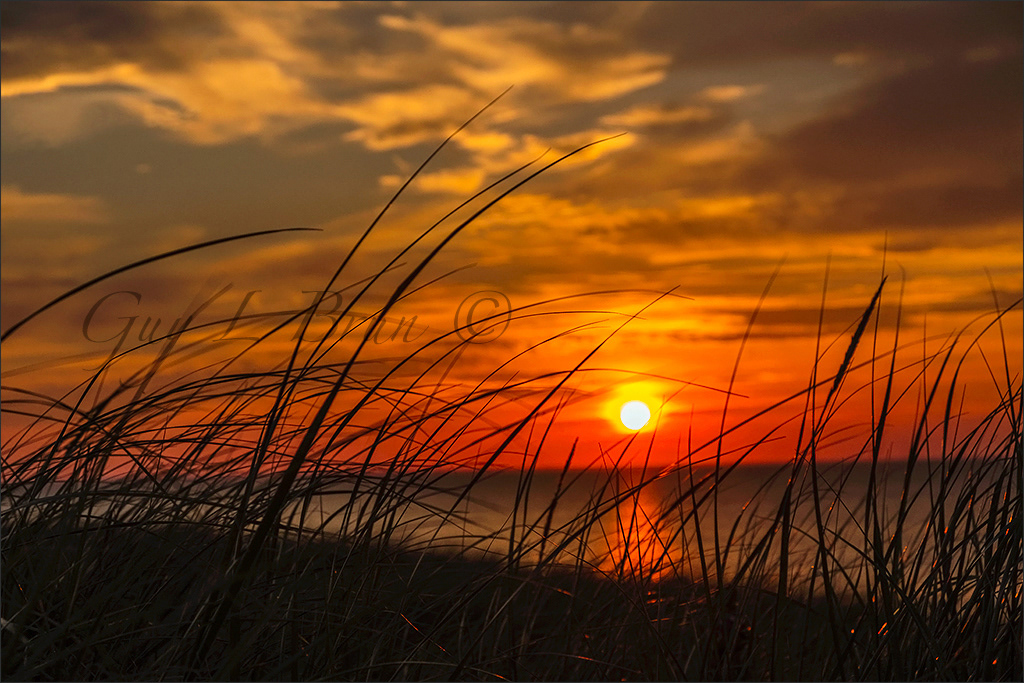 Aboiteau Beach/ Plage Aboiteau. NB. Canada (ESF0289). © Guy L Brun