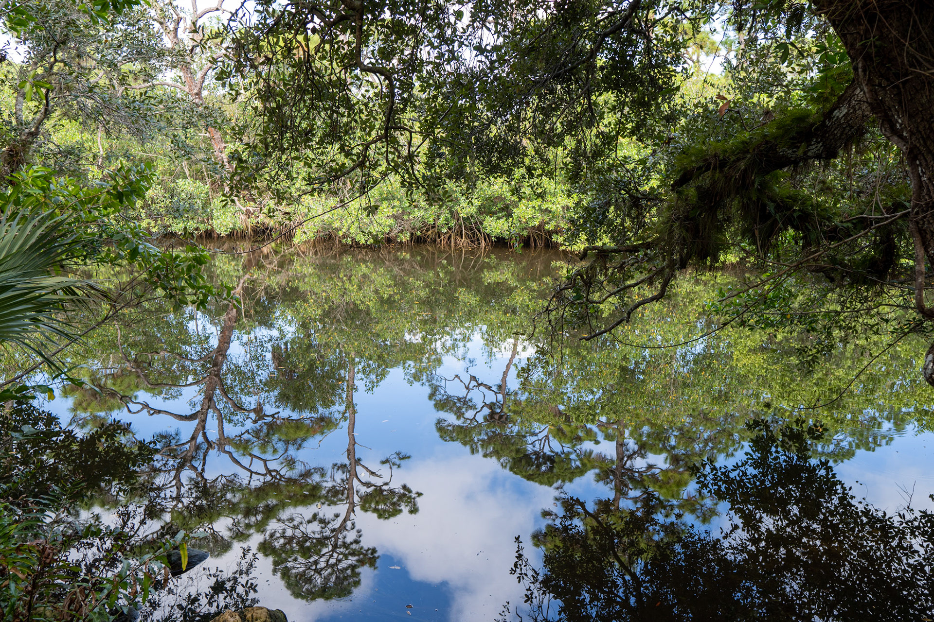 Koreshan State Park