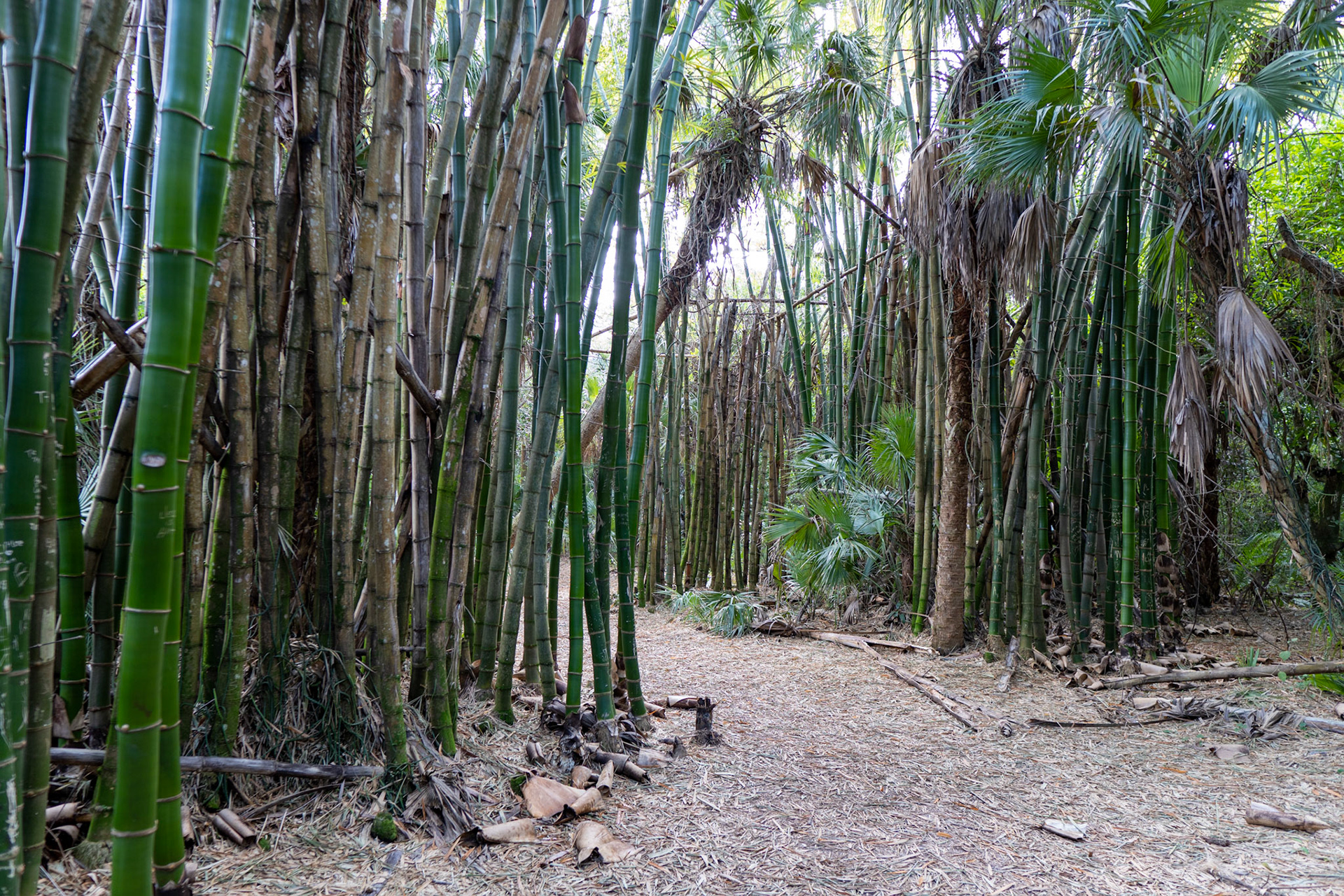 Koreshan State Park