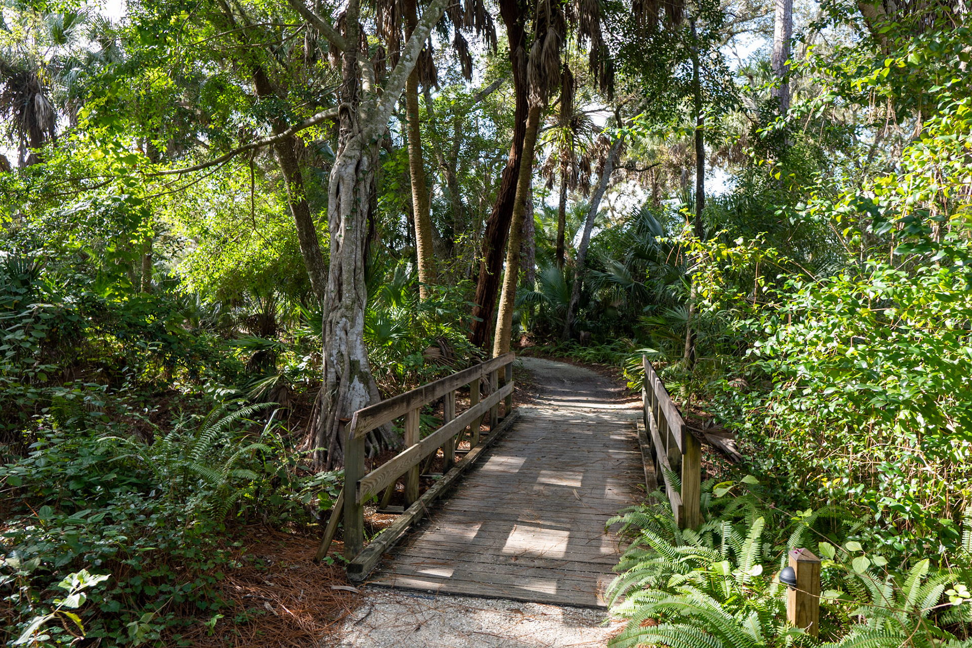 Koreshan State Park