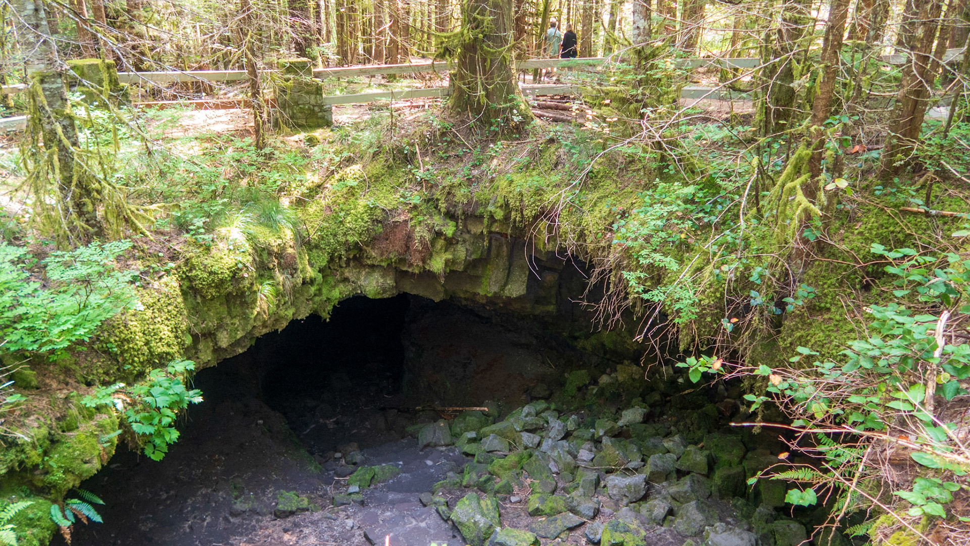 Ape Cave Entry
