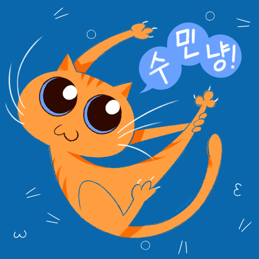 Cat for my boyfriend