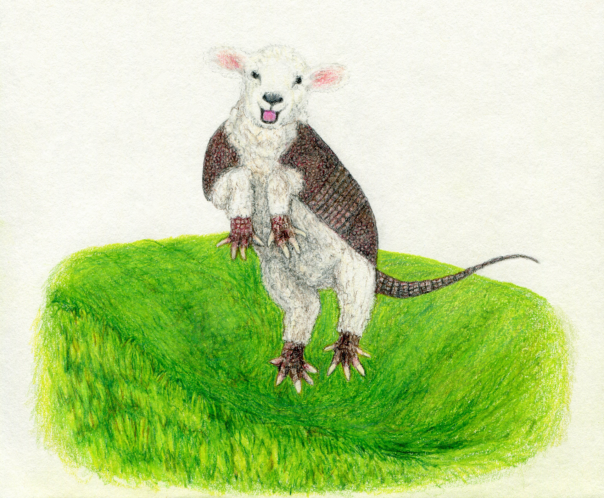 March: The Leaping Armadillamb
