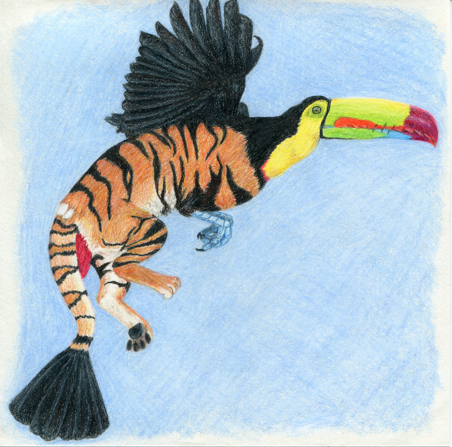 September: The Keel-Billed Bengal Toukiger