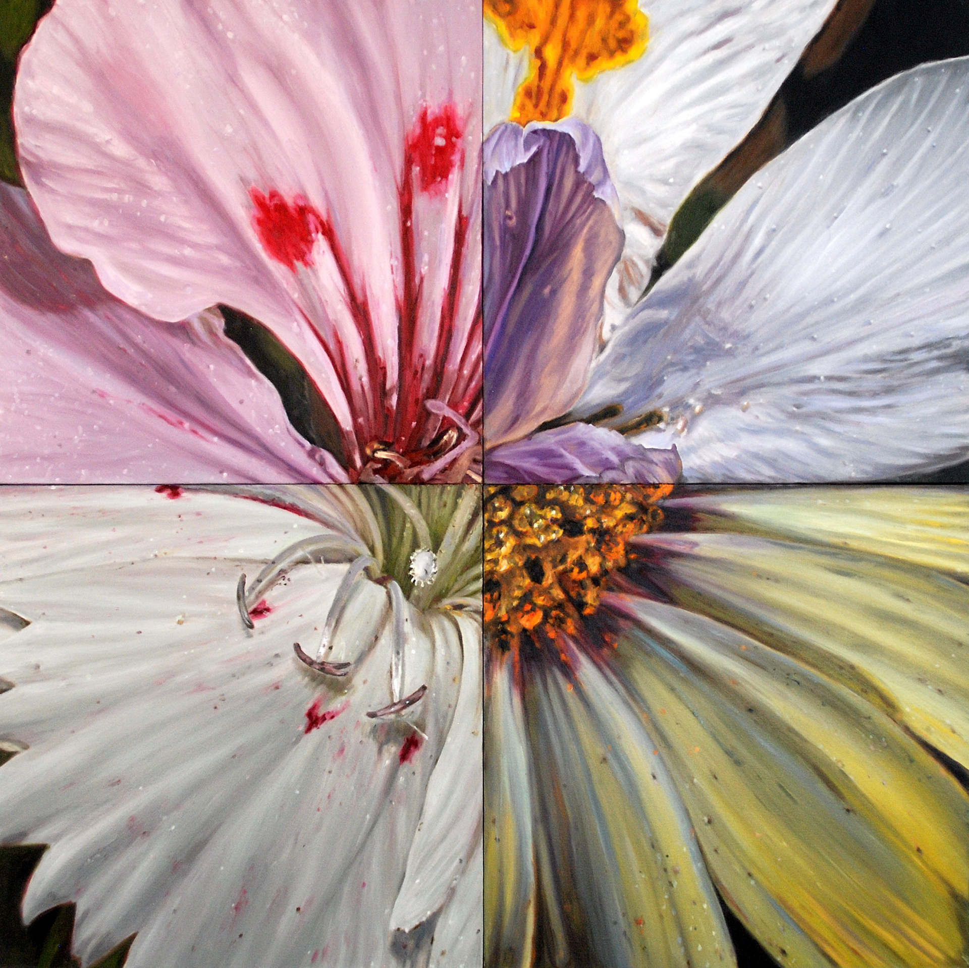 Skin Deep 1, oil on canvas, 40" x 40", 2013