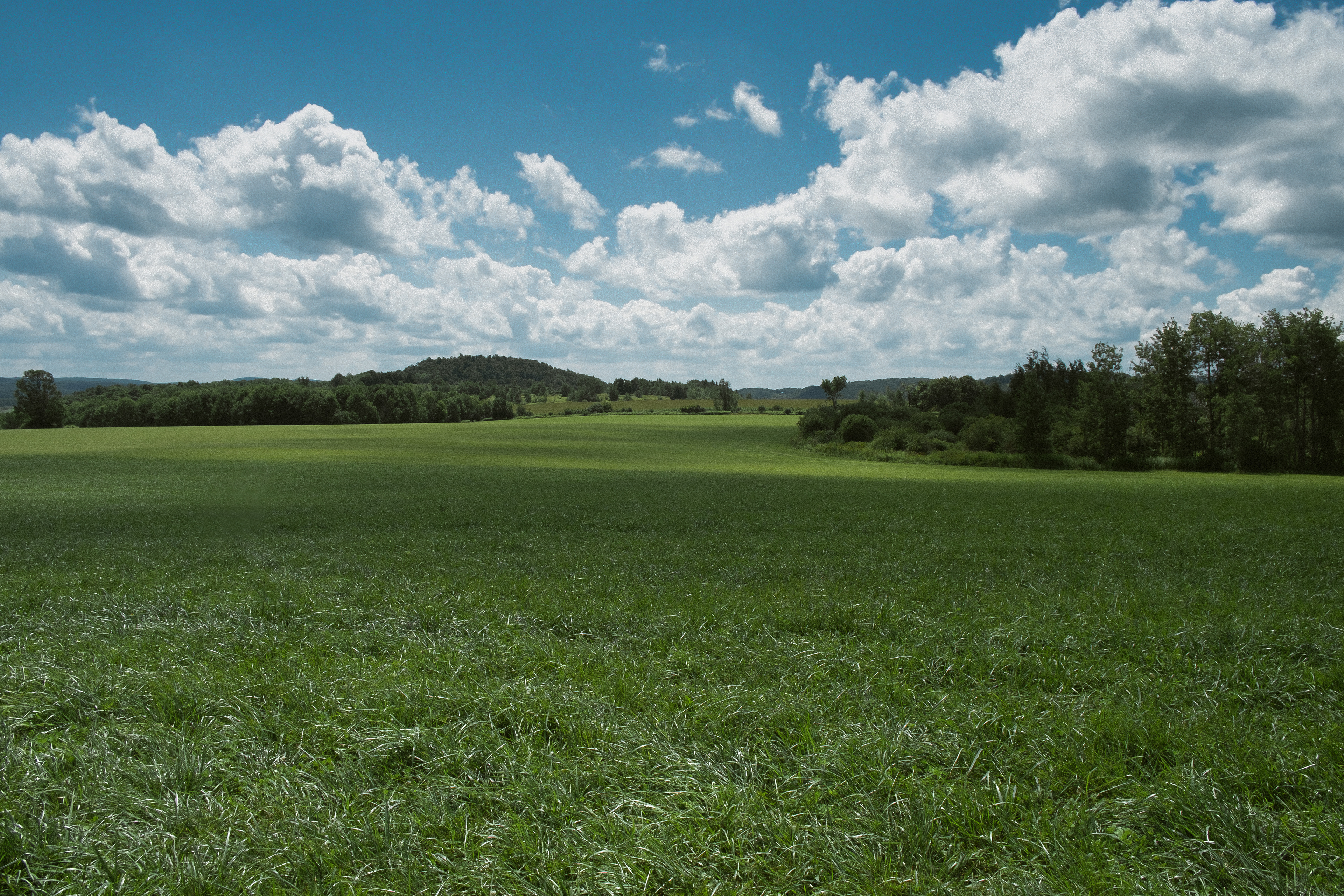 West Winfield, NY