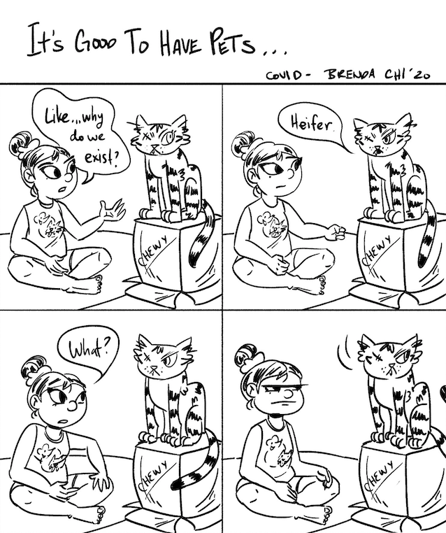 It's Good to Have Pets (COVID TIME)