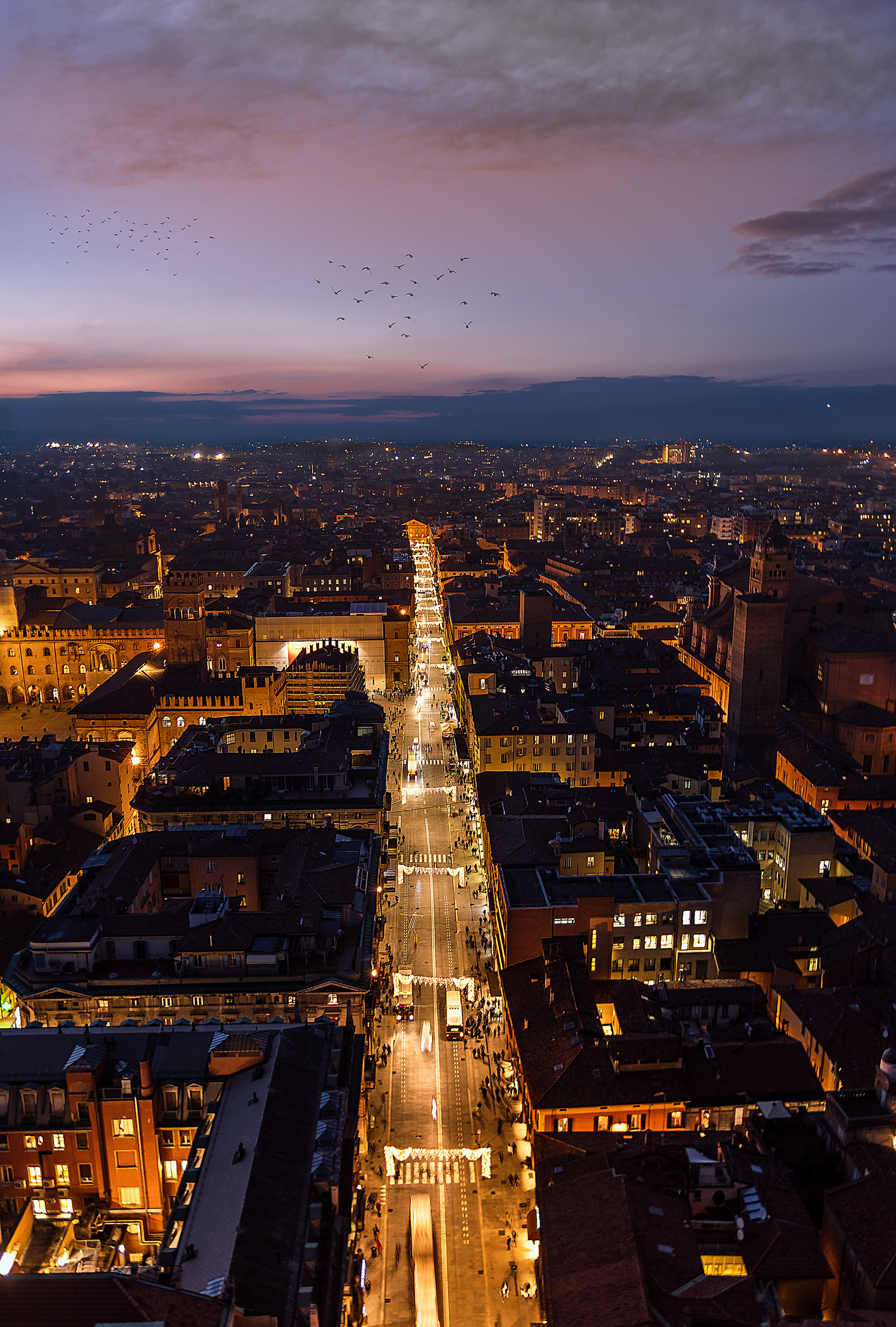 Vista de pájaro de Bologna desde arriba de su torre principal al anochecer