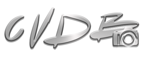 Coen van den Brink