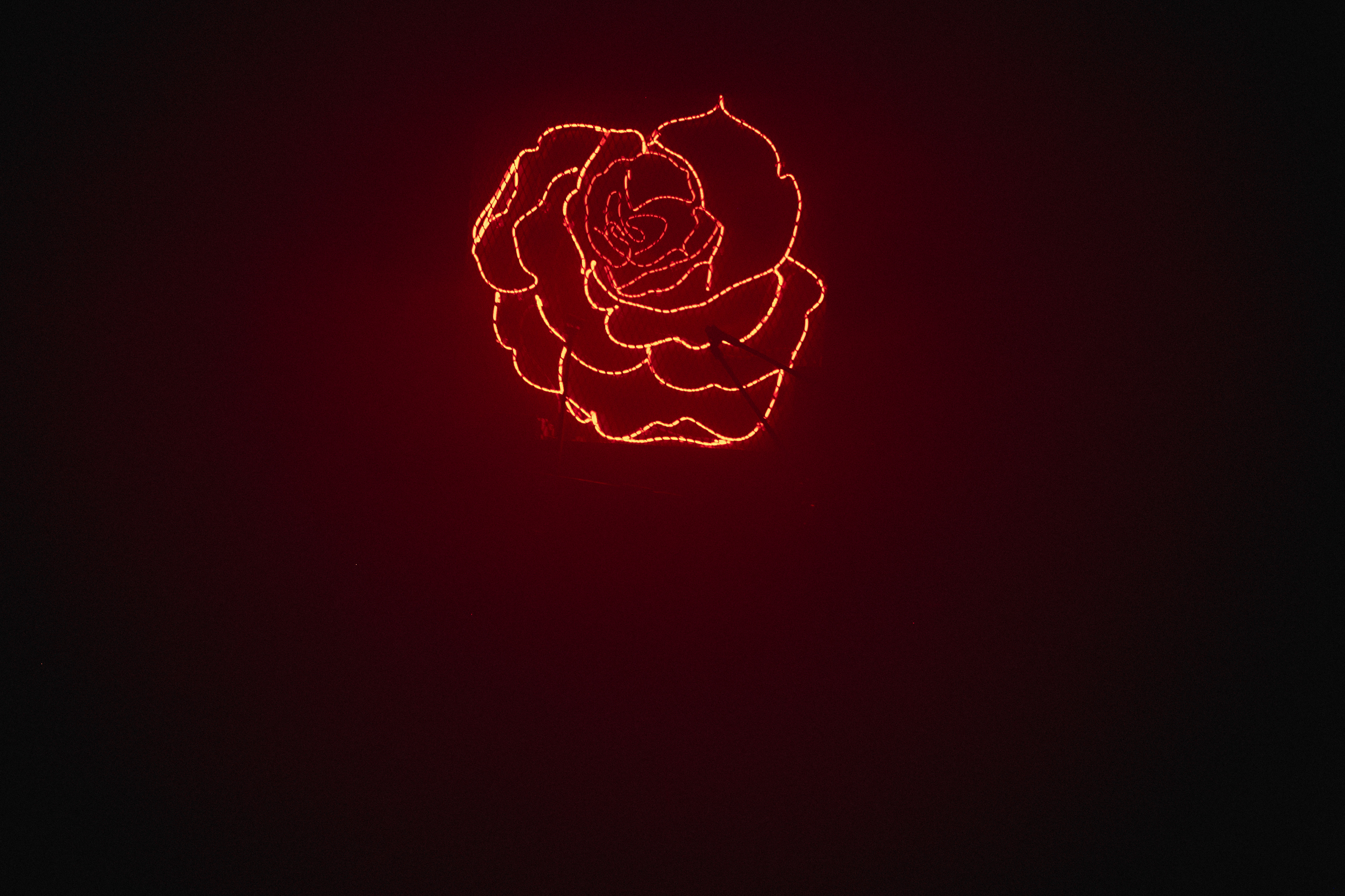 Las Rosas