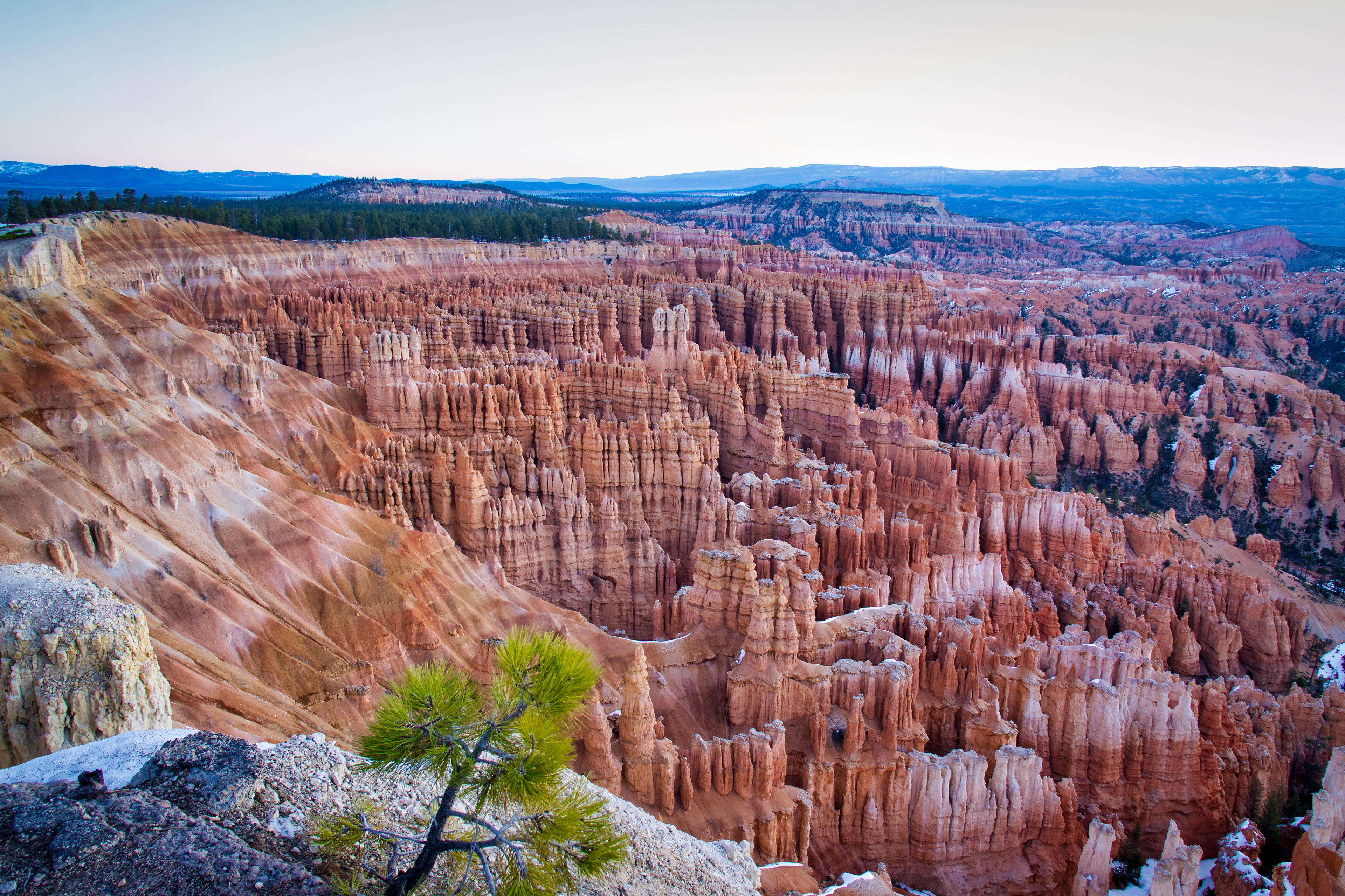 Bryce