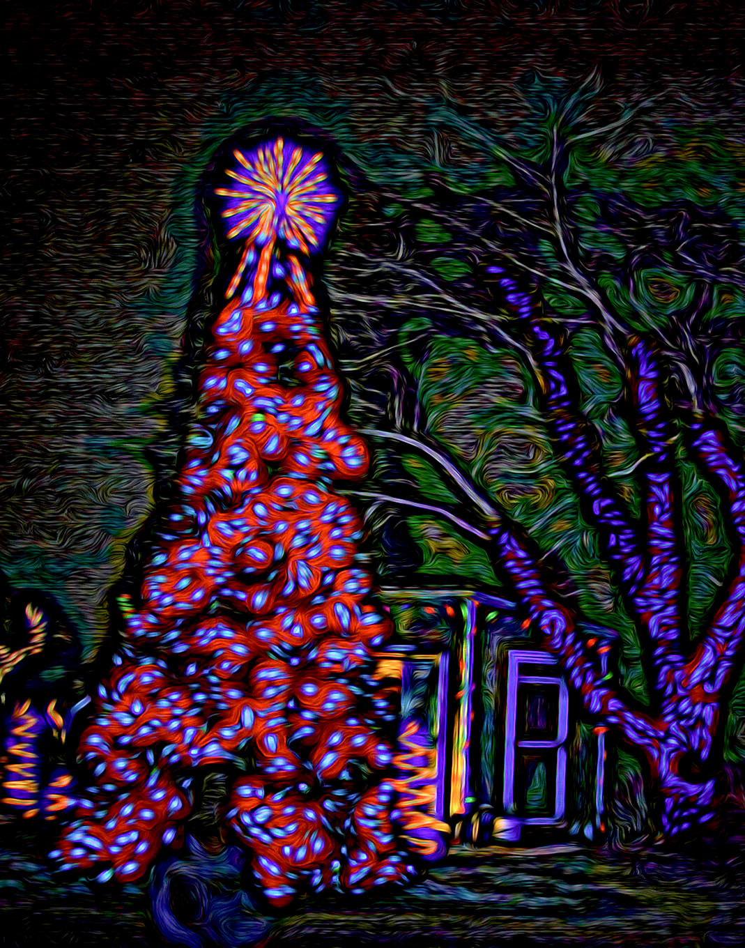 Sharon G Kennedy 2014 Christmas Lights And Decor