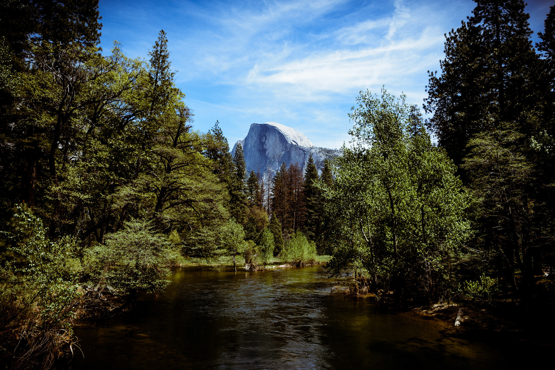 A view of Half Dome in Yosemite National Park.