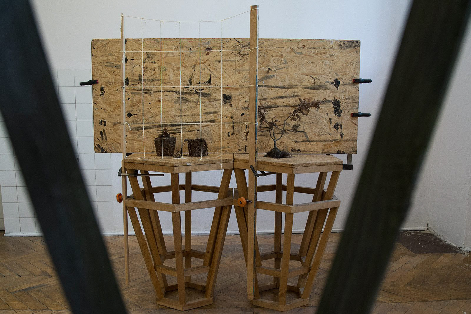 fot. Łukasz Dziedzic