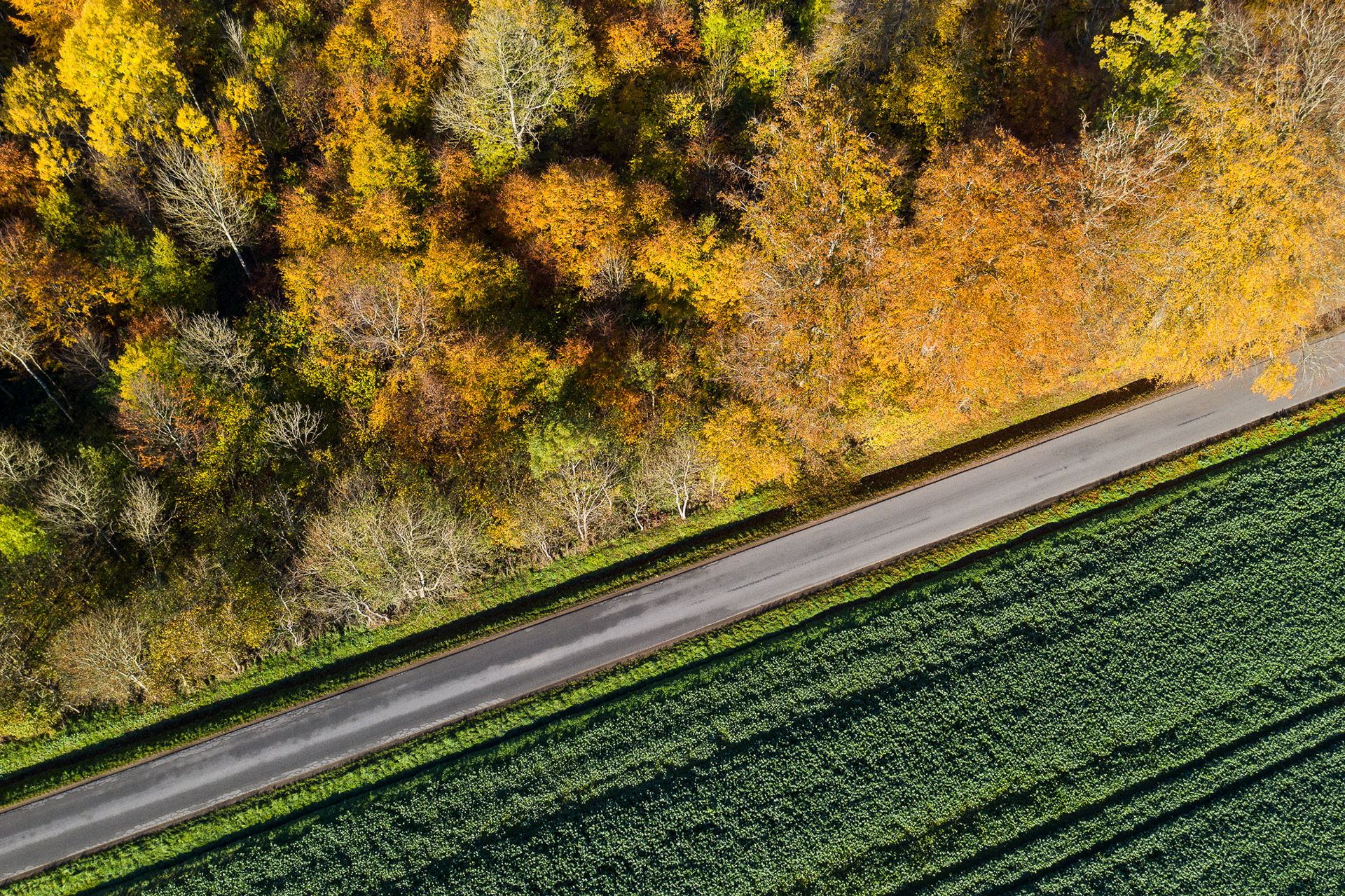Fields in Jutland, Denmark - drone image by Martin Kaufmann