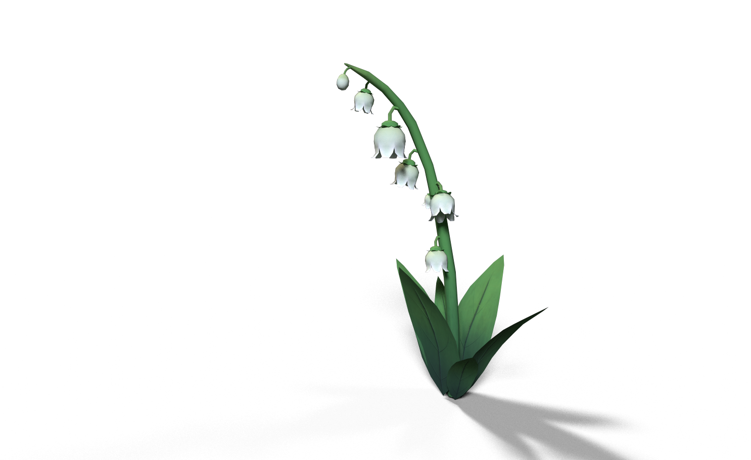 3D Lily of the Valley