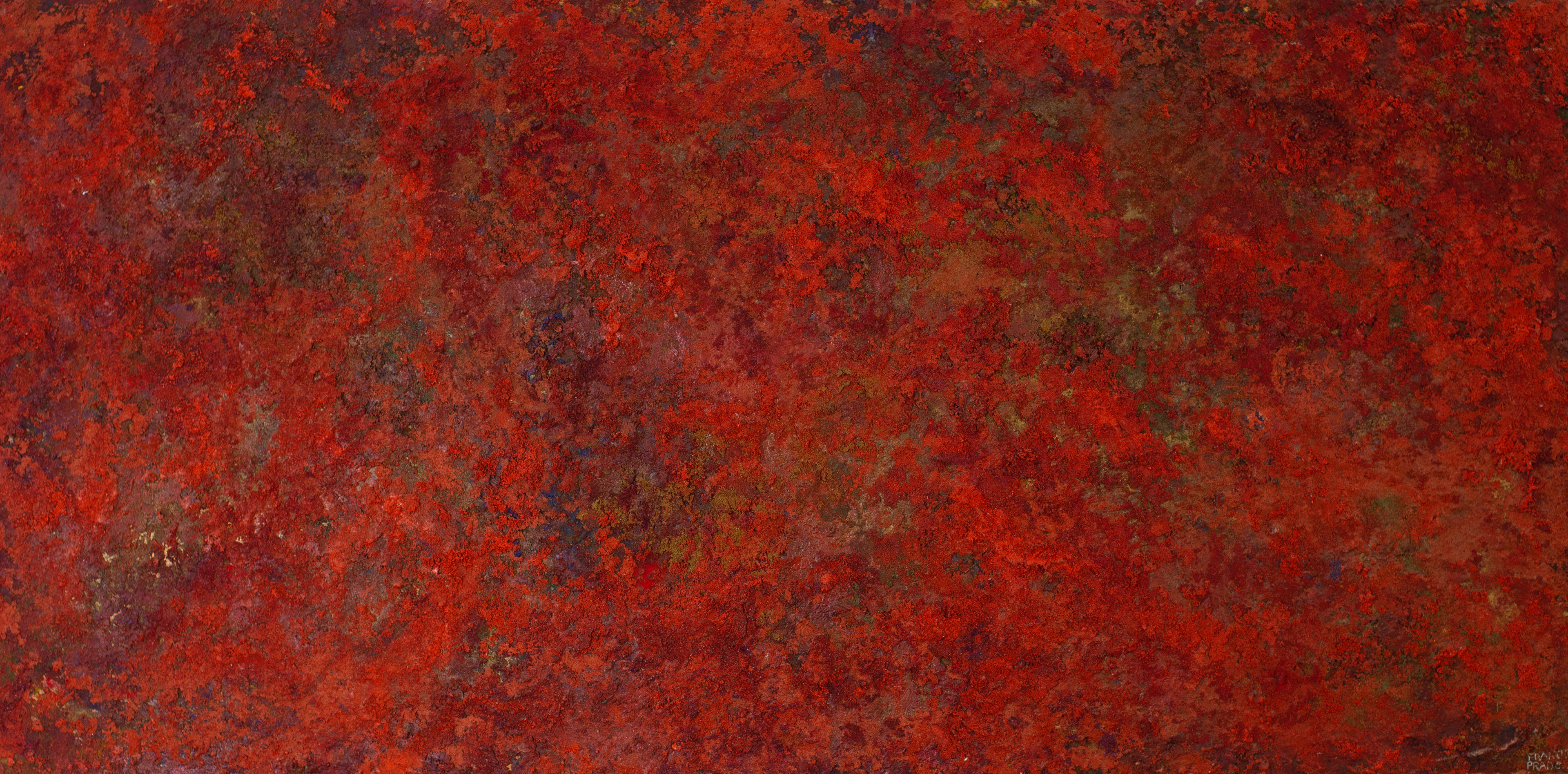 Fuego N12 150 X 75 cm
