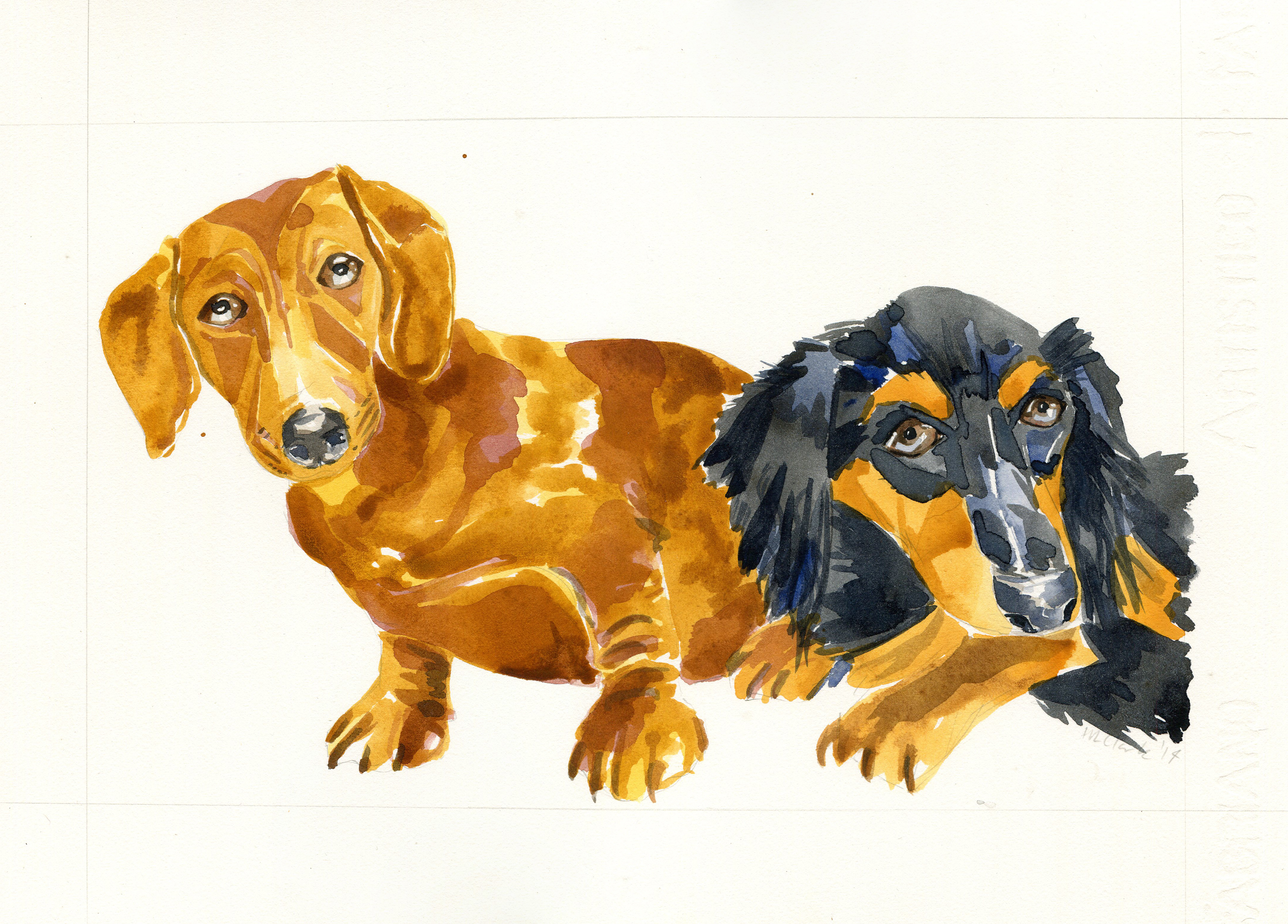 Sausage dogs watercolour portrait