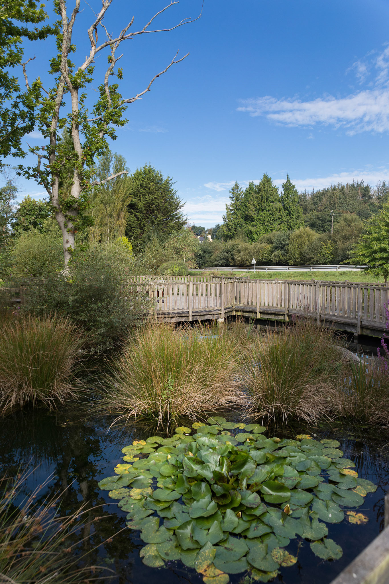 Le jardin du lac à Landrévarzec en septembre 2018.