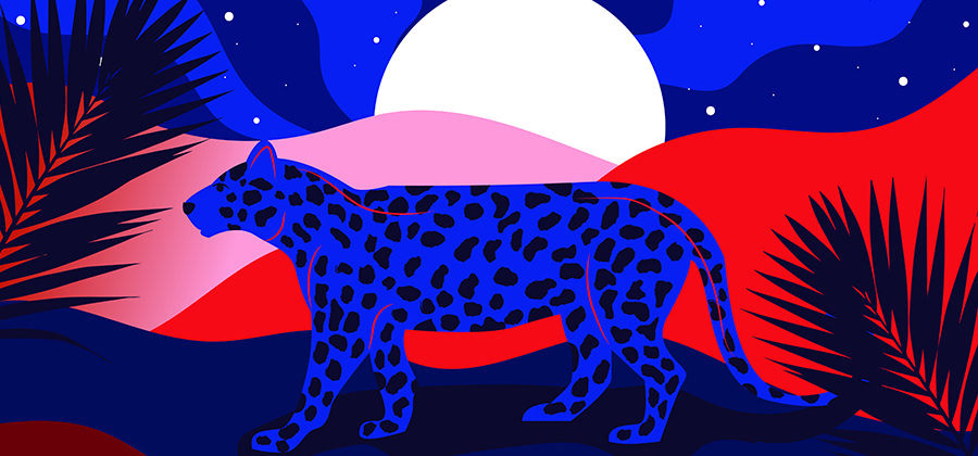 Vector graphics allow creatives to build high-quality works of art, with clean lines and shapes that can be scaled to any size. Explore how this file format can offer creative opportunities for projects of every size.