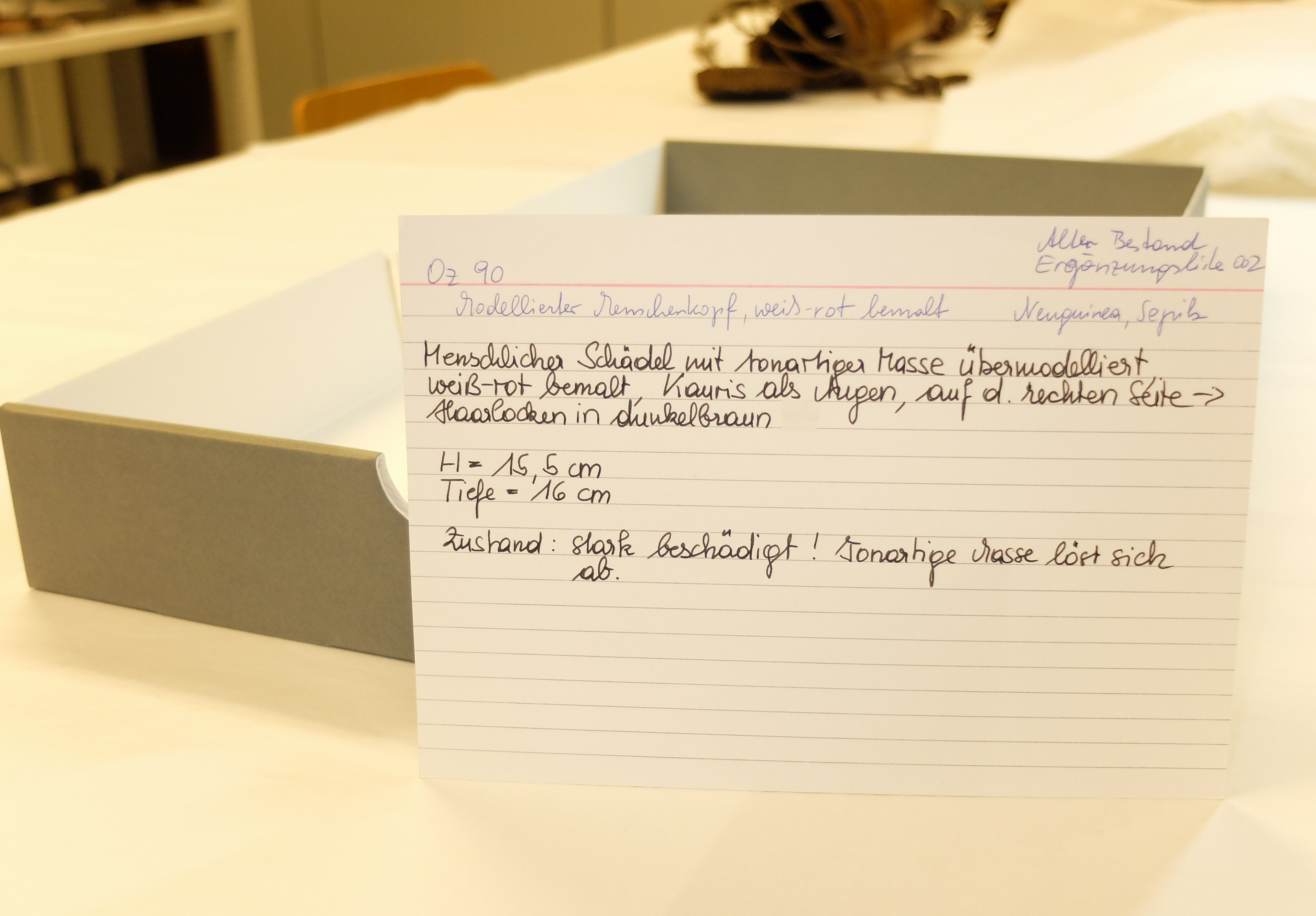 Storage box from the skull with description. Photo: Victoria Immervoll