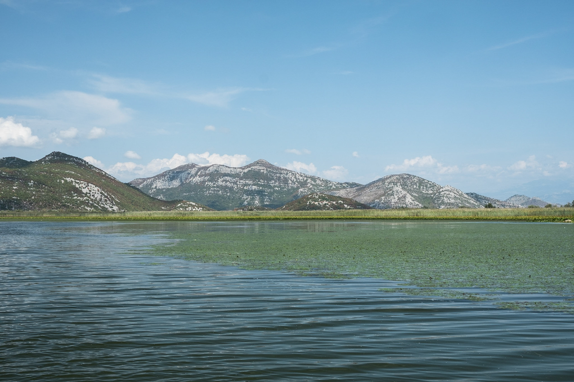 Lake Skadar