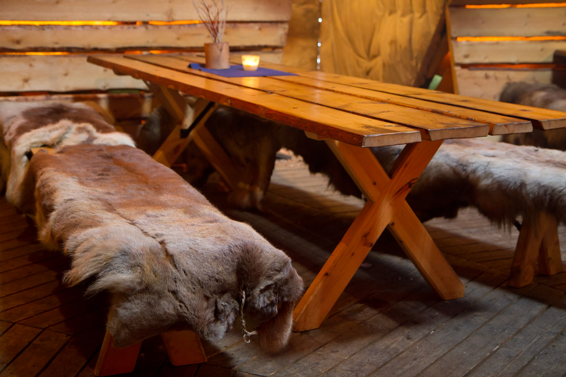 Reindeer skins make good bench covers