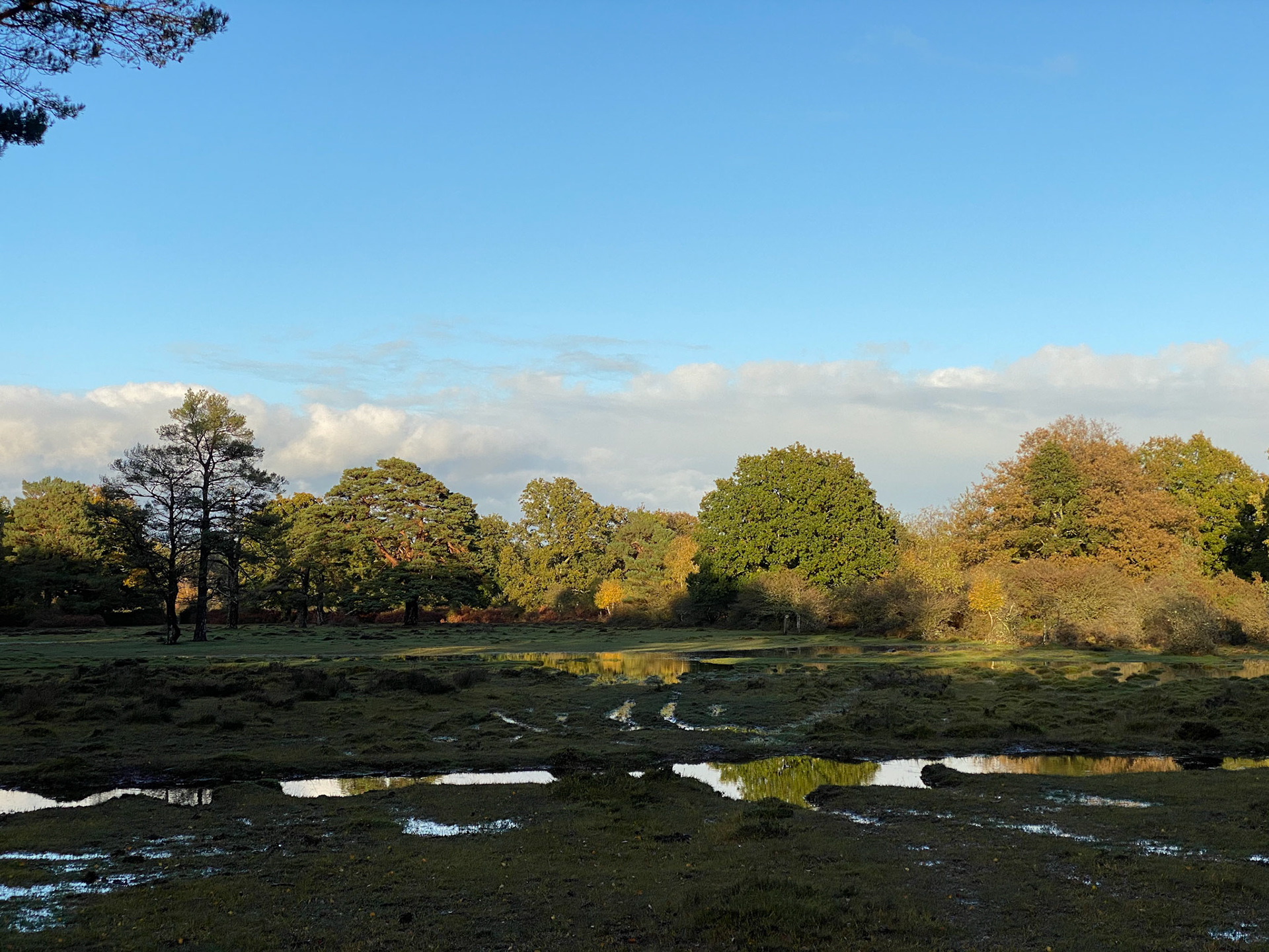 Ober Heath after heavy rain