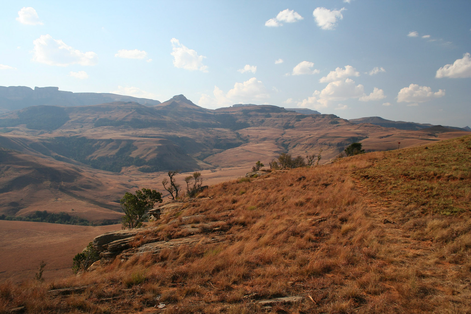 Drakensberg view